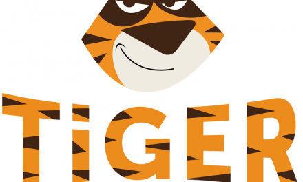 tigerVPN Review